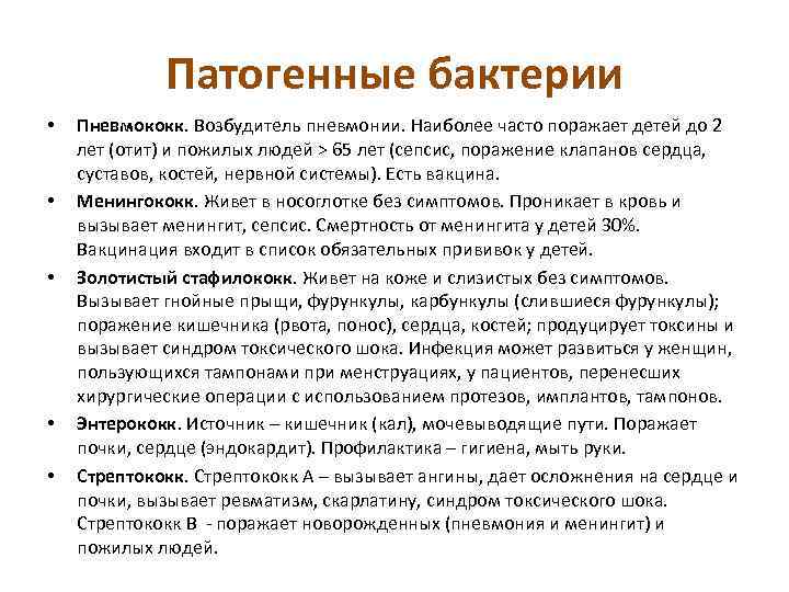 Патогенные бактерии • • • Пневмококк. Возбудитель пневмонии. Наиболее часто поражает детей до 2