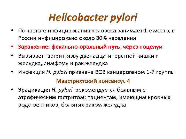 Helicobacter pylori • По частоте инфицирования человека занимает 1 -е место, в России инфицировано