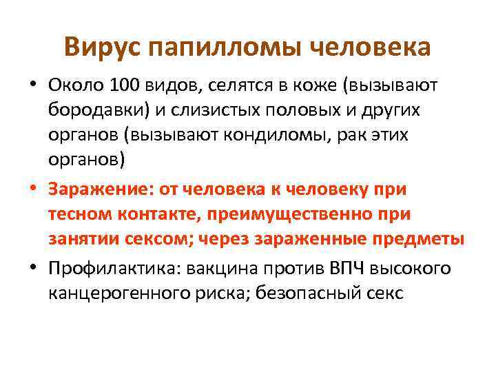 Вирус папилломы человека • Около 100 видов, селятся в коже (вызывают бородавки) и слизистых