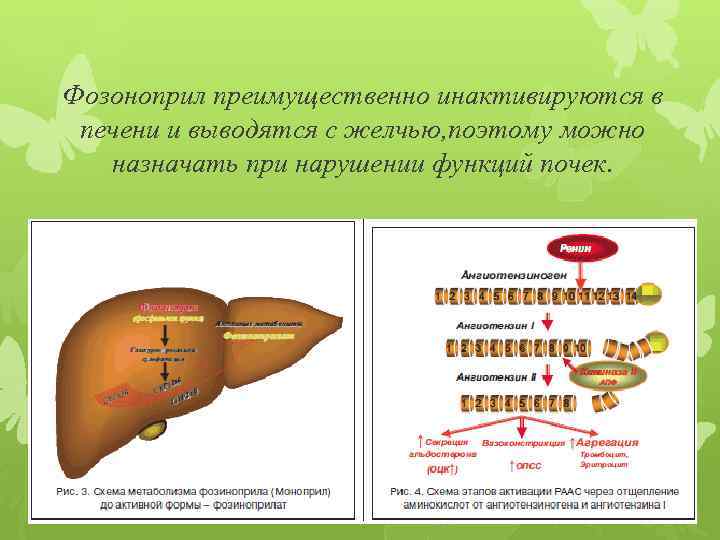 Фозиноприл механизм действия. Инактивируется в печени. С желчью выводятся вещества. Фозиноприл механизм действия фармакологические эффекты.