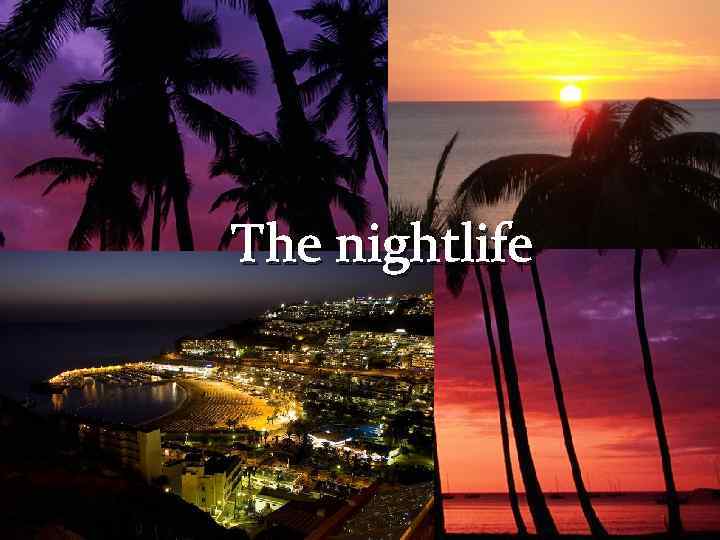 The nightlife 