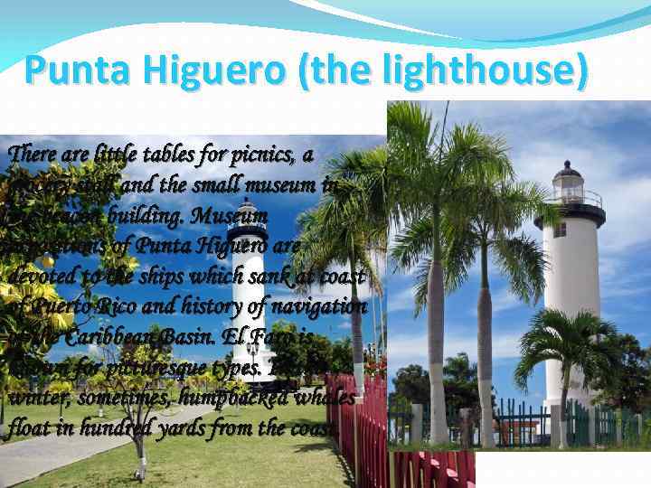 Punta Higuero (the lighthouse) There are little tables for picnics, a grocery stall and