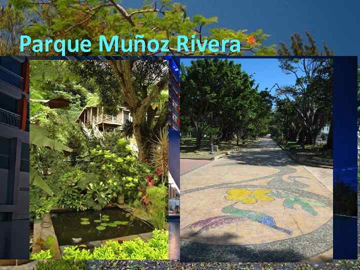 Parque Muñoz Rivera 
