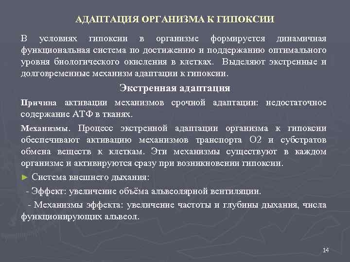 АДАПТАЦИЯ ОРГАНИЗМА К ГИПОКСИИ В условиях гипоксии в организме формируется динамичная функциональная система по