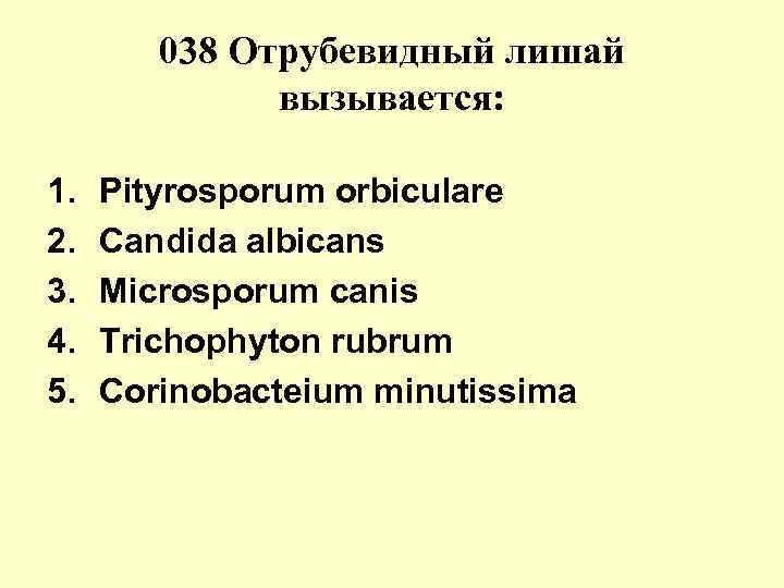 038 Отрубевидный лишай вызывается: 1. 2. 3. 4. 5. Pityrosporum orbiculare Candida albicans Microsporum