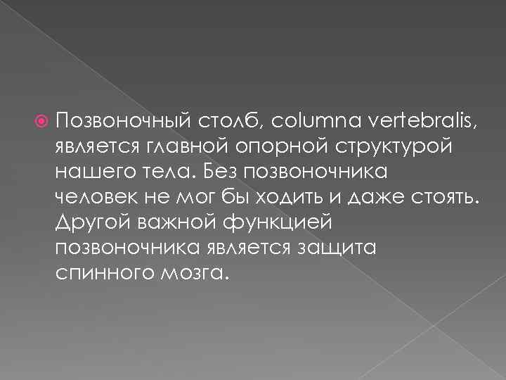  Позвоночный столб, columna vertebralis, является главной опорной структурой нашего тела. Без позвоночника человек