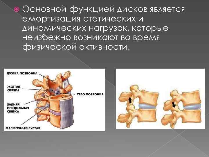  Основной функцией дисков является амортизация статических и динамических нагрузок, которые неизбежно возникают во