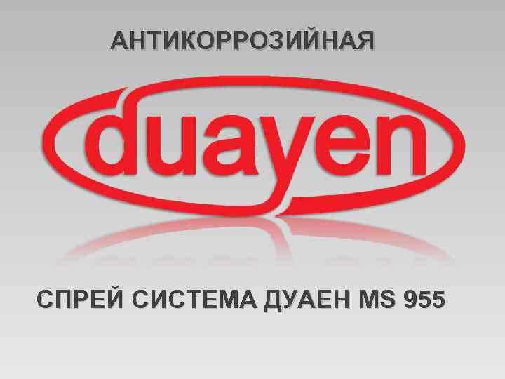АНТИКОРРОЗИЙНАЯ СПРЕЙ СИСТЕМА ДУАЕН MS 955 