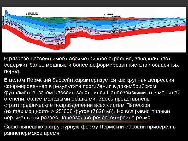 В разрезе бассейн имеет ассиметричное строение, западная часть содержит более мощные и более деформированные
