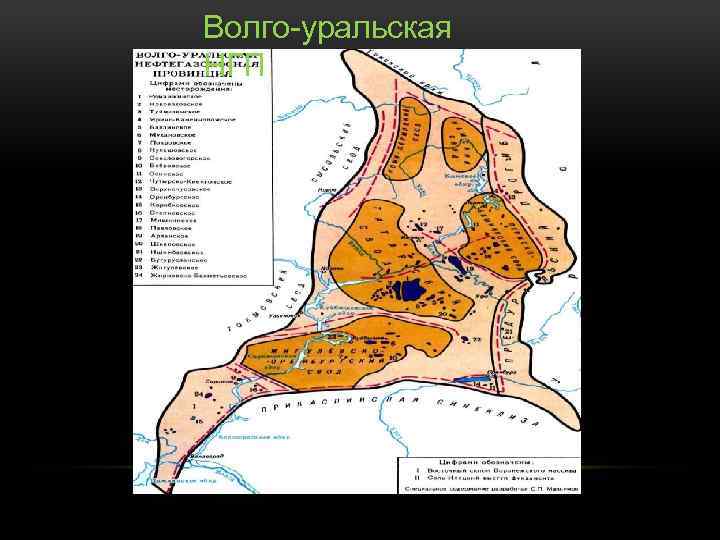 Волго уральский нефтяной. Волго-Уральский нефтегазоносный бассейн. Нефтегазоносные области волгоуралськой провинции. Тектоническая карта Волго Уральской провинции. Волго-Уральская нефтегазоносная провинция на карте.