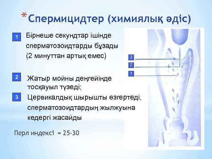 * Спермицидтер (химиялық әдіс) 1 2 3 Бірнеше секундтар ішінде сперматозоидтарды бұзады (2 минуттан