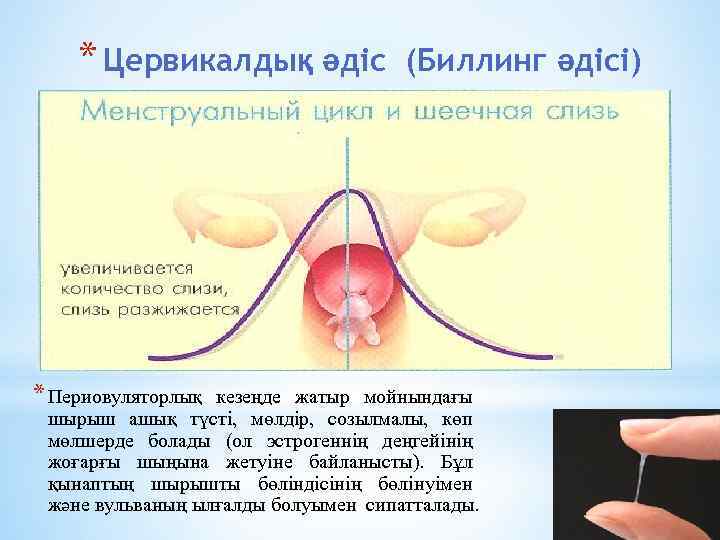 * Цервикалдық әдіс * Периовуляторлық (Биллинг әдісі) кезеңде жатыр мойнындағы шырыш ашық түсті, мөлдір,