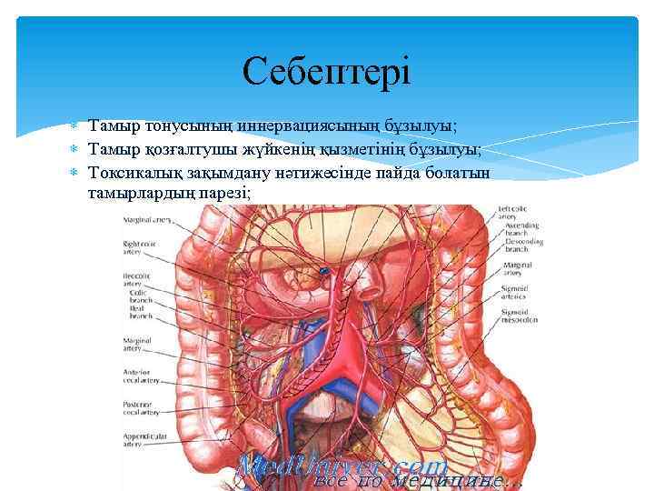 Себептері Тамыр тонусының иннервациясының бұзылуы; Тамыр қозғалтушы жүйкенің қызметінің бұзылуы; Токсикалық зақымдану нәтижесінде пайда