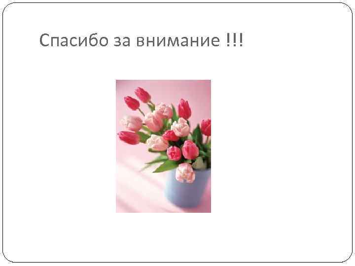 Спасибо за внимание !!! 