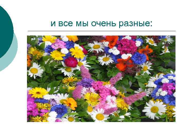 и все мы очень разные: 