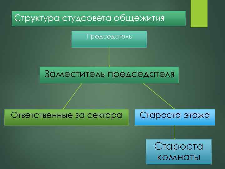 Структура студсовета общежития Председатель Заместитель председателя Ответственные за сектора Староста этажа Староста комнаты 