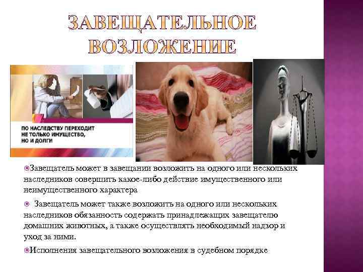  Завещатель может в завещании возложить на одного или нескольких наследников совершить какое-либо действие