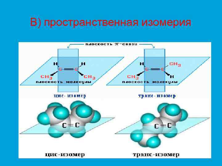 В) пространственная изомерия 