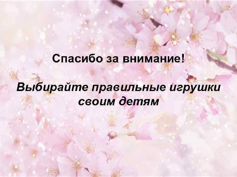 Спасибо за внимание! Выбирайте правильные игрушки своим детям 