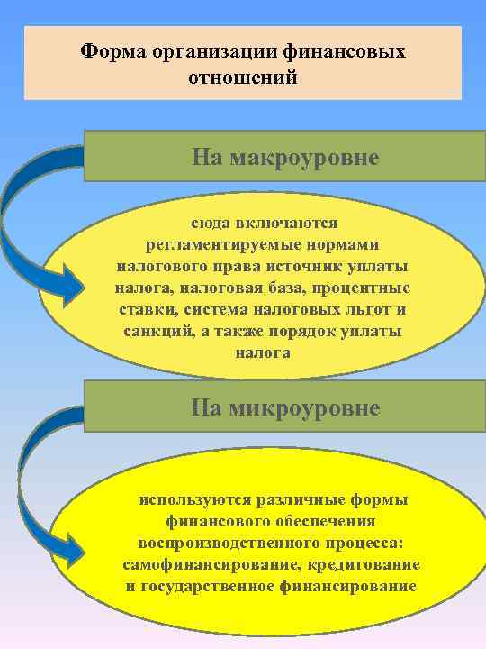 Организуемые отношения. Формы финансовых отношений. Виды организации финансовых отношений. Формы организации финансовых отношений. Финансовые отношения на макроуровне.