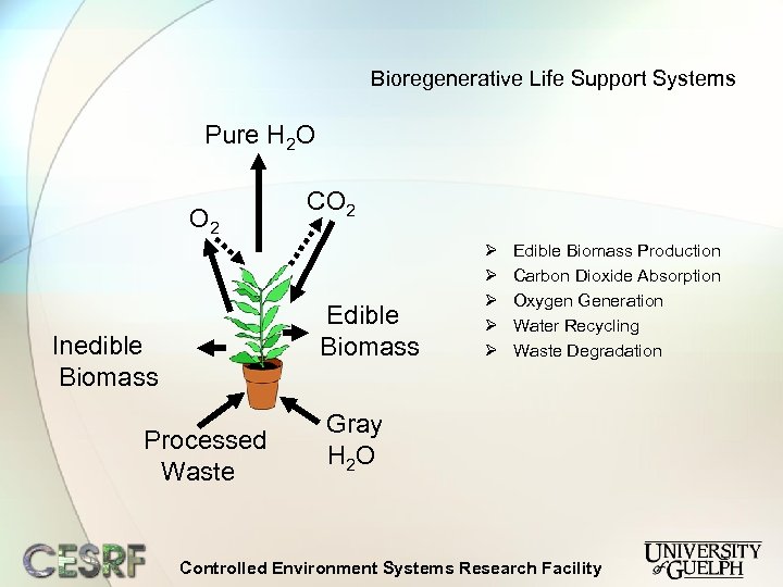 Bioregenerative Life Support Systems Pure H 2 O O 2 CO 2 Edible Biomass