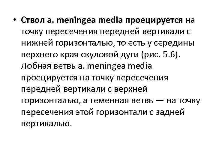  • Ствол a. meningea media проецируется на точку пересечения передней вертикали с нижней