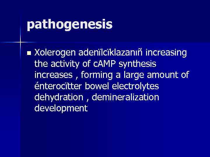 pathogenesis n Xolerogen adenïlcïklazanıñ increasing the activity of c. AMP synthesis increases , forming