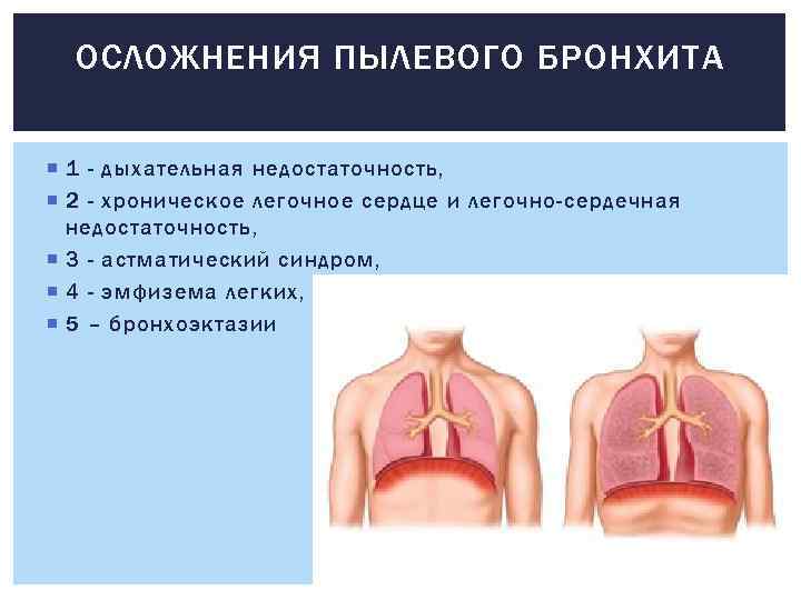 ОСЛОЖНЕНИЯ ПЫЛЕВОГО БРОНХИТА 1 - дыхательная недостаточность, 2 - хроническое легочное сердце и легочно-сердечная