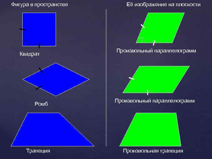 Квадрат ромб трапеция