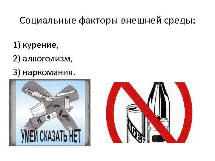 Социальные факторы внешней среды: 1) курение, 2) алкоголизм, 3) наркомания. 