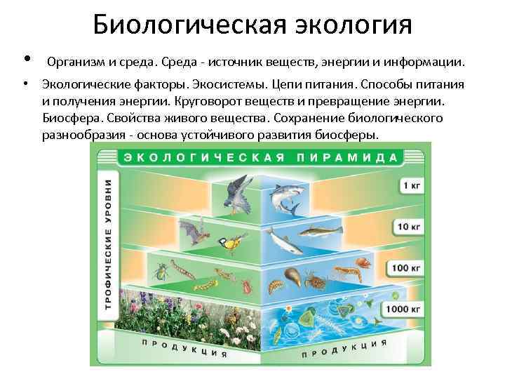 Взаимосвязь организмов и окружающей среды 9 класс проект