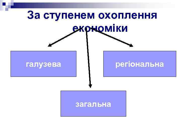 За ступенем охоплення економіки галузева регіональна загальна 