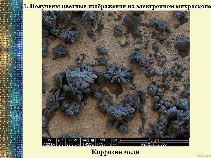 1. Получены цветные изображения на электронном микроскопе Коррозия меди 
