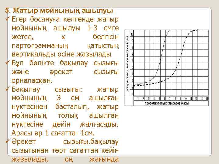 5. Жатыр мойнының ашылуы ü Егер босануға келгенде жатыр мойнының ашылуы 1 -3 смге