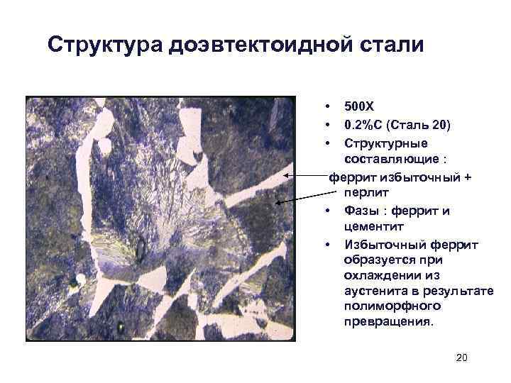 Структура доэвтектоидной стали • • • 500 X 0. 2%С (Сталь 20) Структурные составляющие