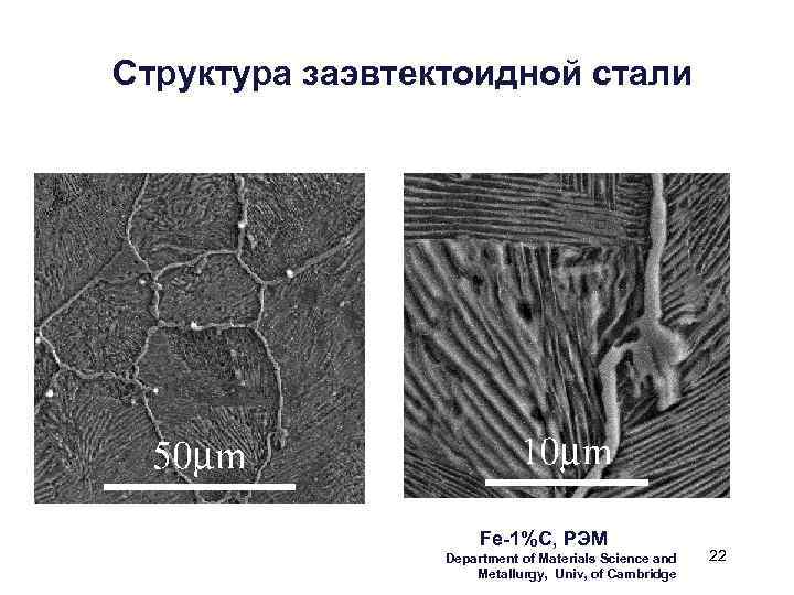 Заэвтектоидная сталь. Заэвтектоидная сталь структура. Укажите структуру заэвтектоидной стали.. Структура заэвтектоидной стали при комнатной температуре. Структура перлита заэвтектоидная.