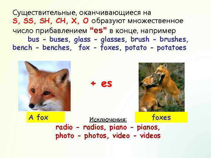 Существительные, оканчивающиеся на S, SH, CH, X, O образуют множественное число прибавлением “es” в
