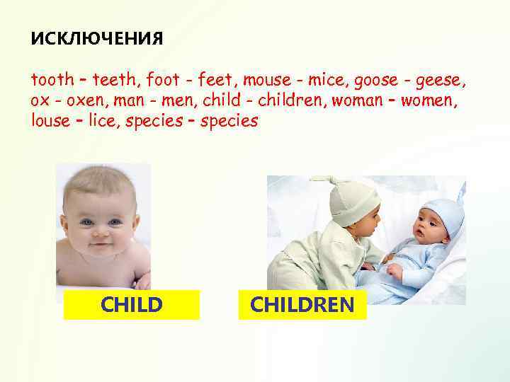 ИСКЛЮЧЕНИЯ tooth – teeth, foot - feet, mouse - mice, goose - geese, ox