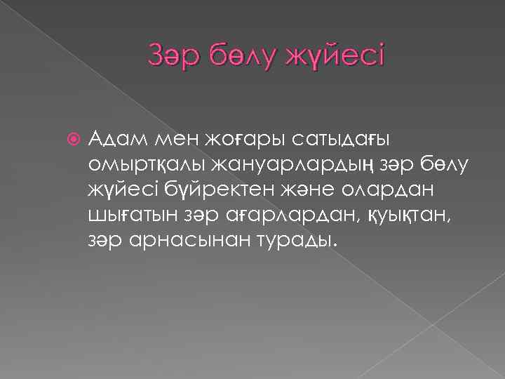 Зәр бөлу жүйесі Адам мен жоғары сатыдағы омыртқалы жануарлардың зәр бөлу жүйесі бүйректен және