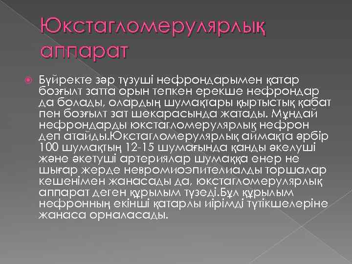 Юкстагломерулярлық аппарат Бүйректе зәр түзуші нефрондарымен қатар бозғылт затта орын тепкен ерекше нефрондар да