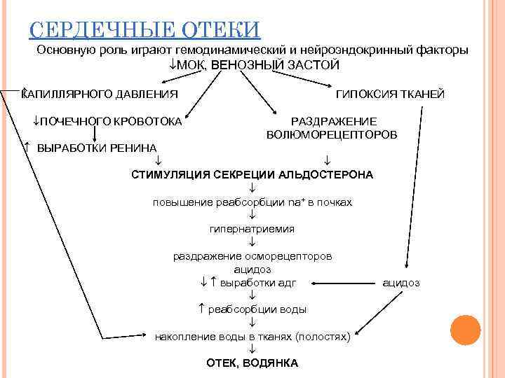 СЕРДЕЧНЫЕ ОТЕКИ Основную роль играют гемодинамический и нейроэндокринный факторы МОК, ВЕНОЗНЫЙ ЗАСТОЙ К АПИЛЛЯРНОГО