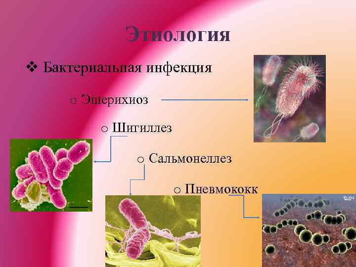 Этиология v Бактериальная инфекция o Эшерихиоз o Шигиллез o Сальмонеллез o Пневмококк 
