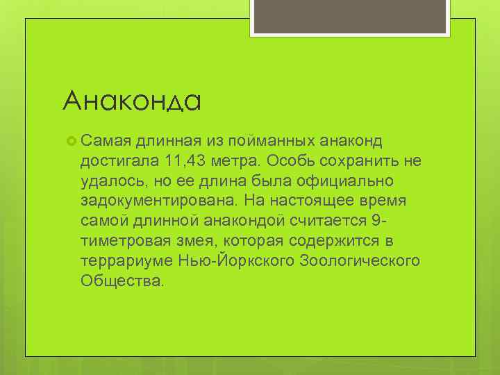 Анаконда Самая длинная из пойманных анаконд достигала 11, 43 метра. Особь сохранить не удалось,