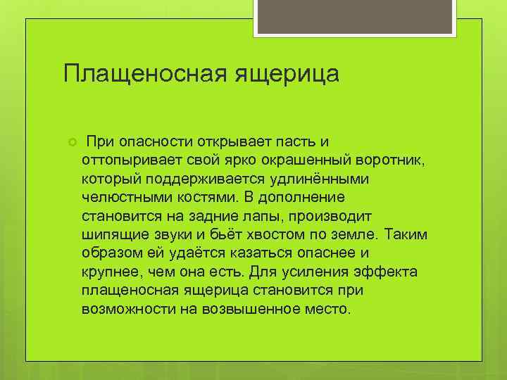 Плащеносная ящерица При опасности открывает пасть и оттопыривает свой ярко окрашенный воротник, который поддерживается