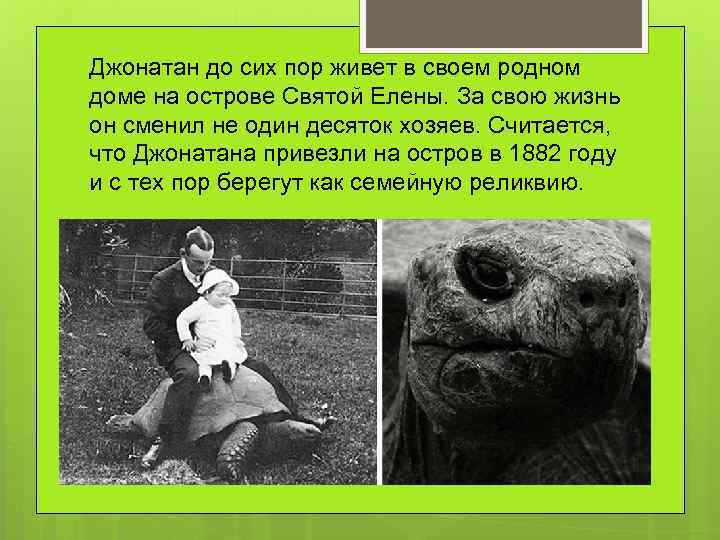 Джонатан до сих пор живет в своем родном доме на острове Святой Елены. За