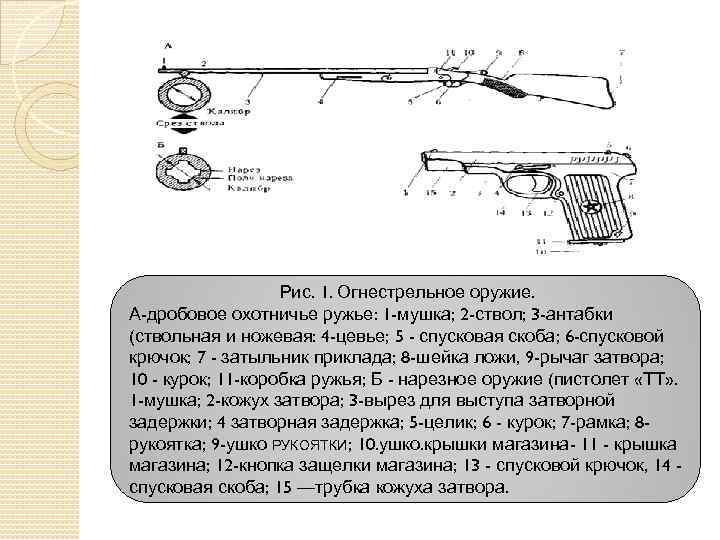 Рис. 1. Огнестрельное оружие. А-дробовое охотничье ружье: 1 -мушка; 2 -ствол; 3 -антабки (ствольная