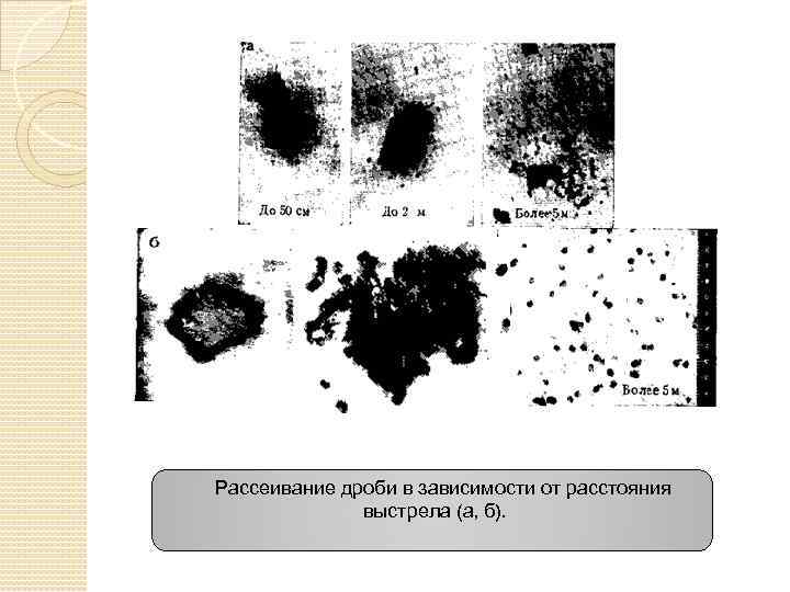 Рассеивание дроби в зависимости от расстояния выстрела (а, б). 