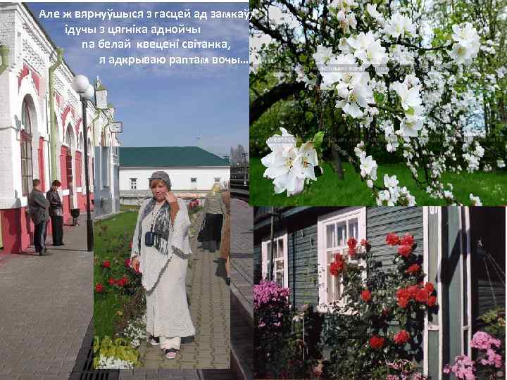 Але ж вярнуўшыся з гасцей ад замкаў, ідучы з цягніка аднойчы па белай квецені