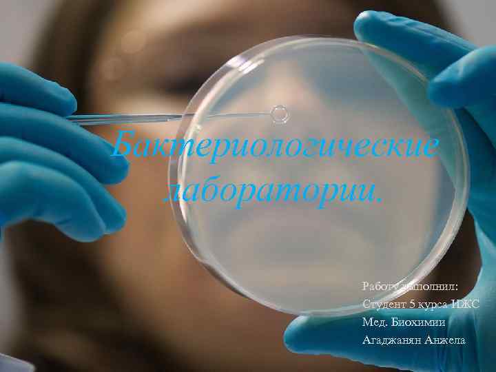 Бактериологические лаборатории. Работу выполнил: Студент 5 курса ИЖС Мед. Биохимии Агаджанян Анжела 