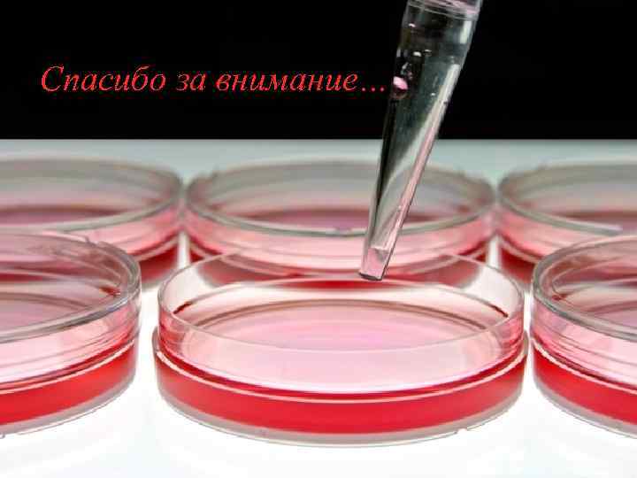 Спасибо за внимание… 